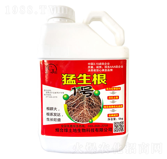 ������1̖-�G����