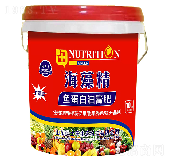 �~�����͸��-���徫-�����S