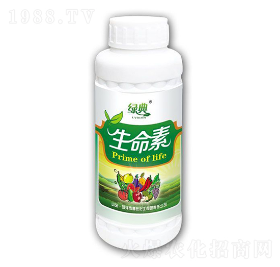 ������-�G��-��������