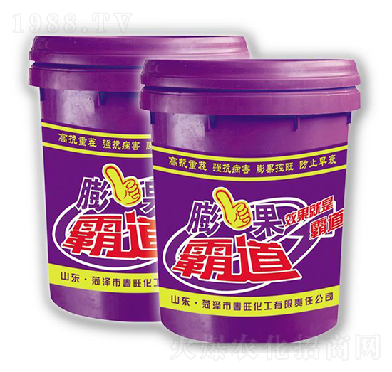 ����Ե�-��������