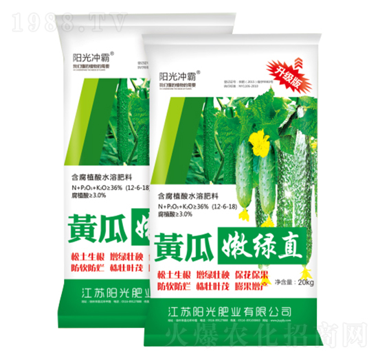 黃瓜嫩綠直-陽(yáng)光沖霸-陽(yáng)光肥業(yè)