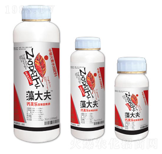 �}�V������n����-����-��һ�Z����