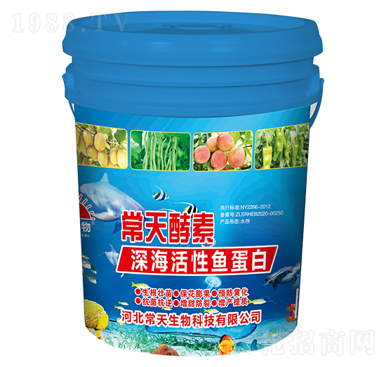 ������~����-�������-��������