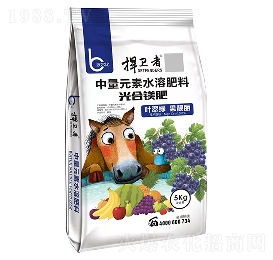 ����V��-���l(w��i)��-������