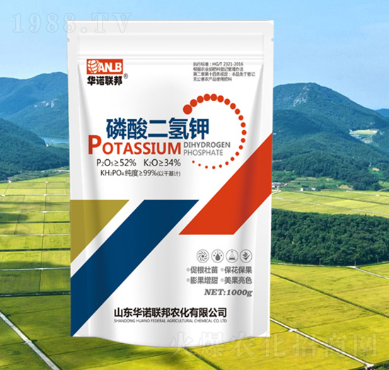 1000g��������-�A�Z(li��n)��