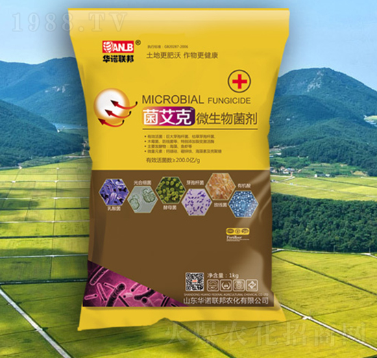 ΢�������-������-�A�Z(li��n)��