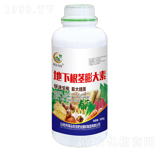 ���¸��o�����-������(y��u)��