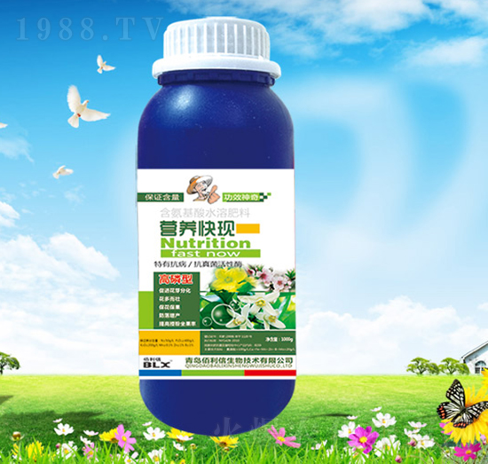 �I(y��ng)�B(y��ng)��F(xi��n)-��Ұ�r(n��ng)��