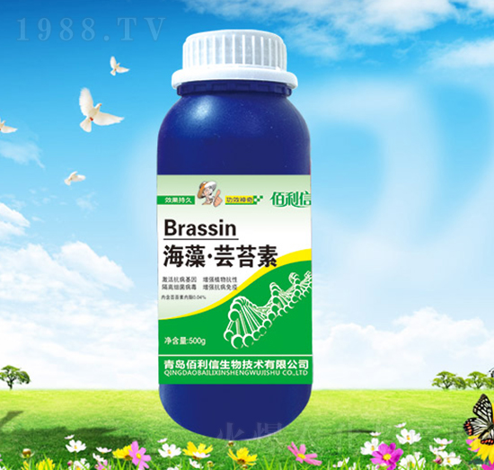 ���塤�|̦��-��Ұ�r(n��ng)��