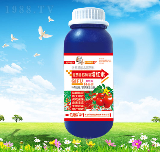 �����a�}�������t��-��Ұ�r��