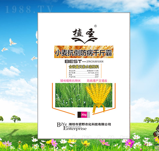 С����������ǧ���-ֲʥ-��Ұ�r(n��ng)��