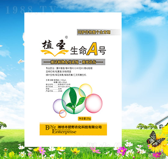 ����A̖-ֲʥ-��Ұ�r��