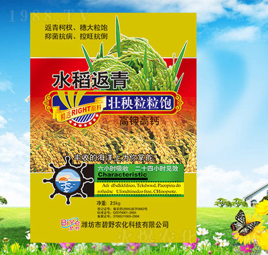 ˮ���������������-��Ұ�r��