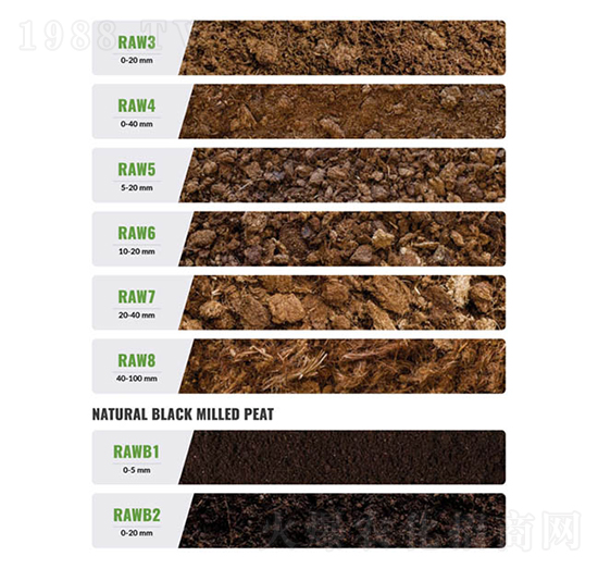 �M����̿�w�S�L��-�۱���