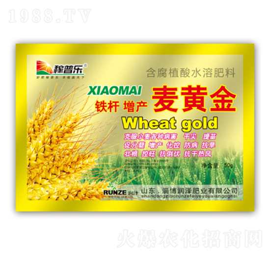 鐵桿增產(chǎn)麥黃金-潤澤肥業(yè)