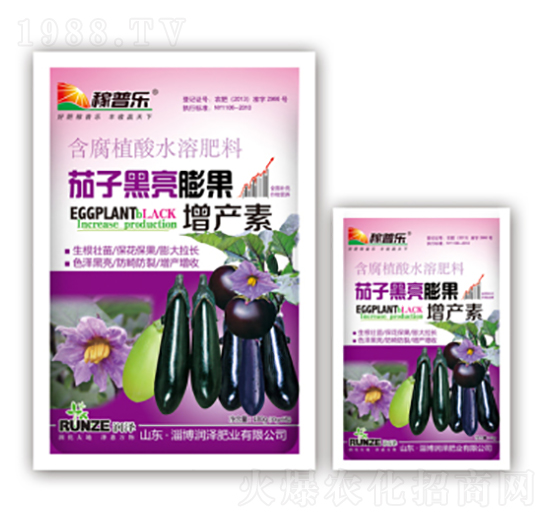 茄子黑亮膨果增產(chǎn)素-潤澤肥業(yè)