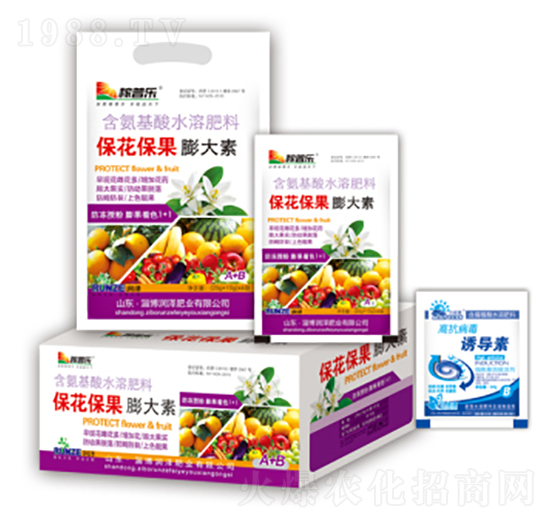保花保果膨大素-潤(rùn)澤肥業(yè)