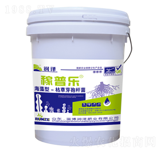 海藻型枯草芽孢桿菌-稼普樂(lè)-潤(rùn)澤肥業(yè)