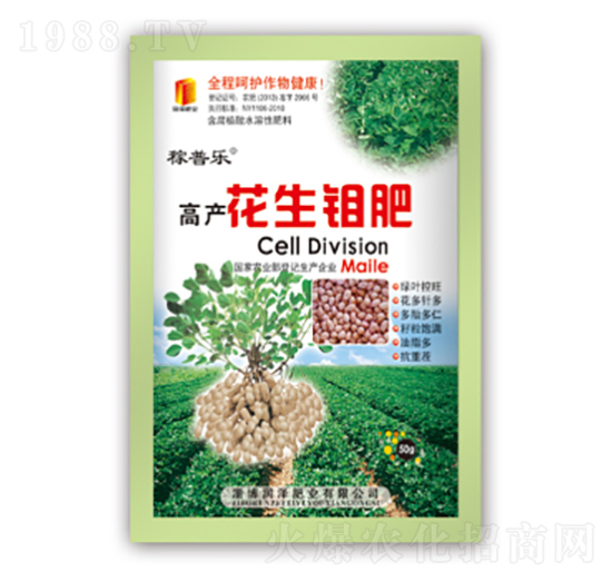 高產(chǎn)花生鉬肥-稼普樂-潤(rùn)澤肥業(yè)