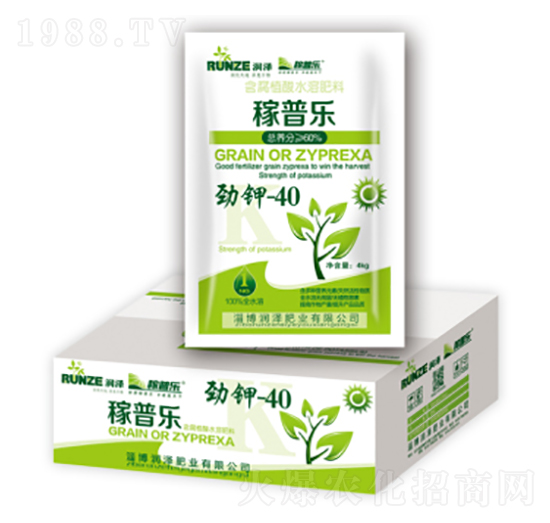 ���-40-���՘�-���ɷʘI(y��)