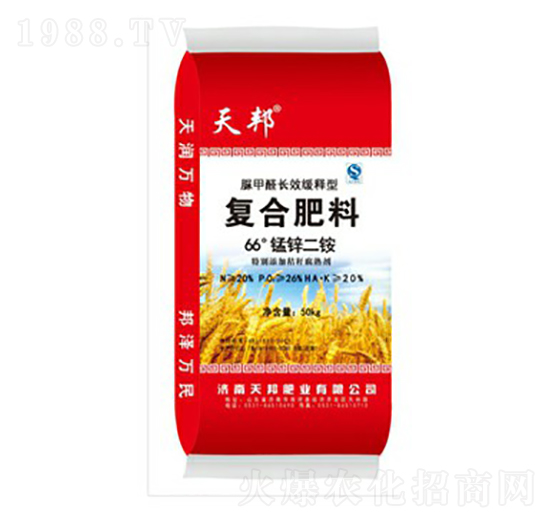 66���i�\���@-���-�f��