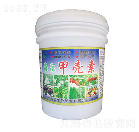 ����ך���-��������