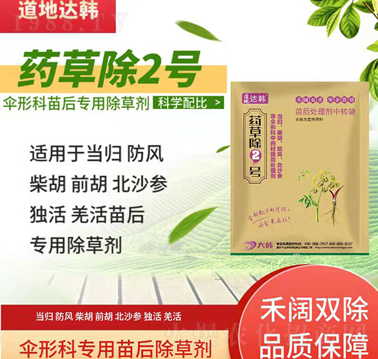 ���οƳ��݄�-���ο����-���οƌ���-ˎ�ݳ�2̖(h��o)-���n