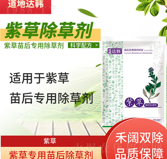 �ϲݳ��݄�-�ϲ����-�ϲ݌�(zhu��n)��-���n