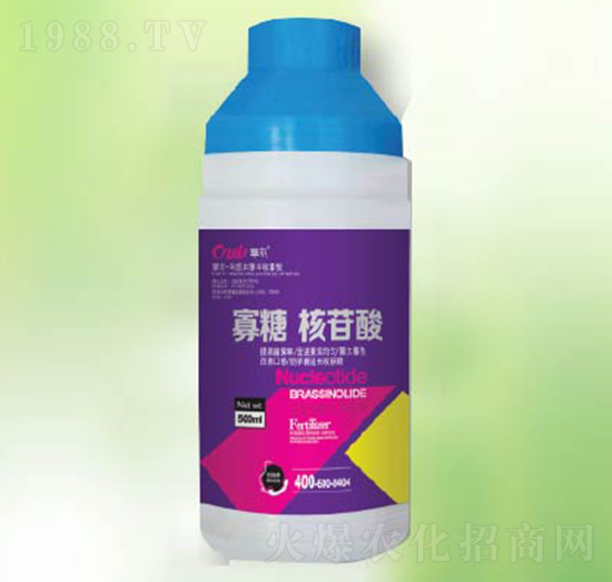 ���Ǻ�����-�|������