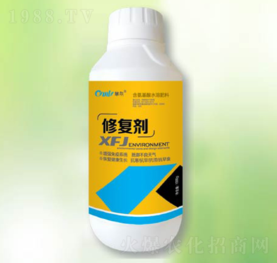 �ޏ�(f��)��-�|����(r��n)��