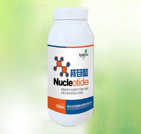 ������-�|����(r��n)��