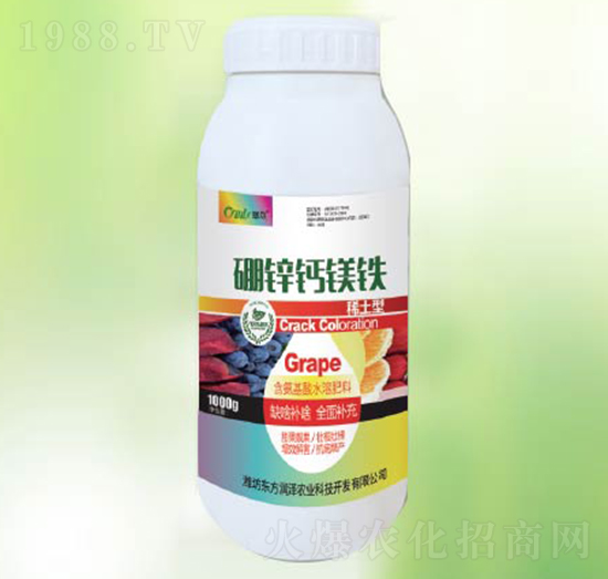 ���\�}�V�F-�|������