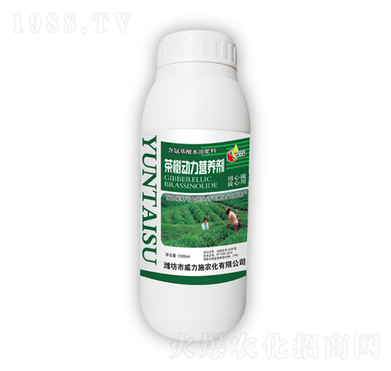 ����(d��ng)���I(y��ng)�B(y��ng)��-����ʩ