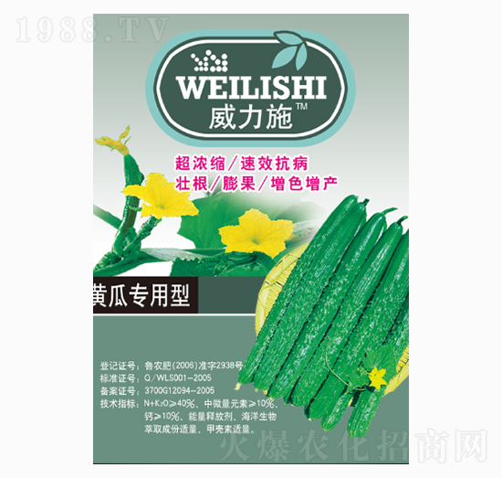 �S�ό�����-����ʩ