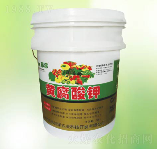 �S�����-�|������