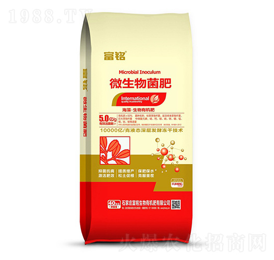 ΢�������-���