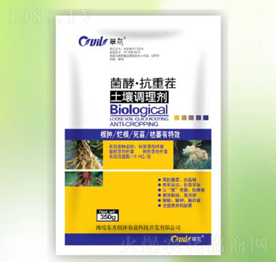 �����{�턩-���͡����ز�-�|������