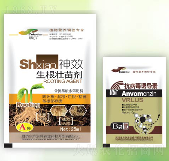 �������焩+�������T����-�|������