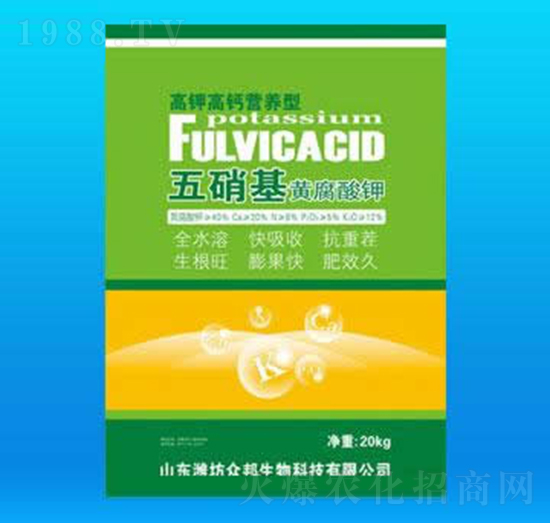 �������S�����-��������