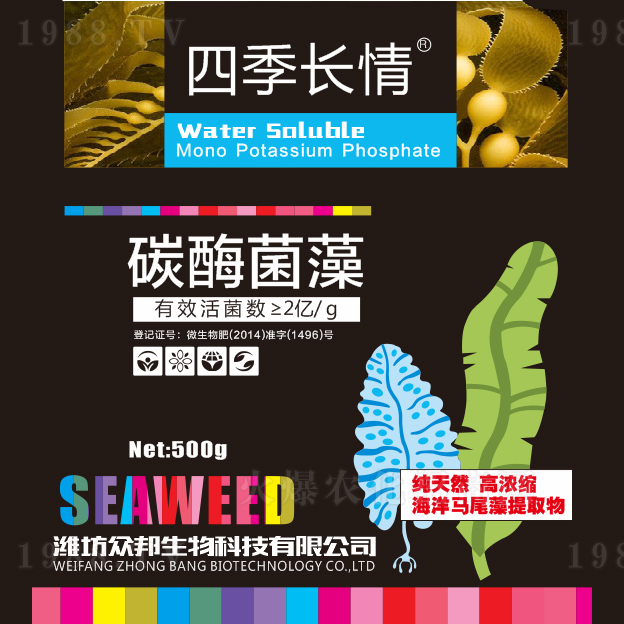 �ļ����顤̼ø����-��������