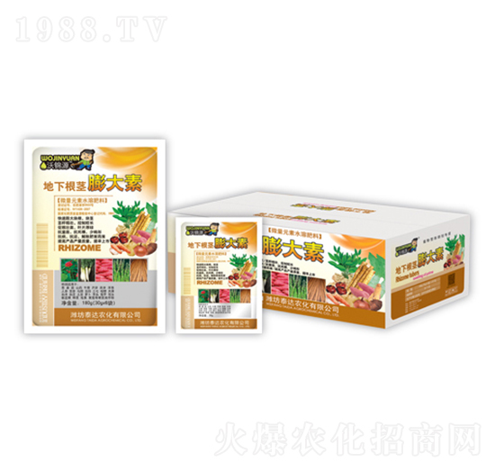 ���¸��o�����-̩�_�r(n��ng)��