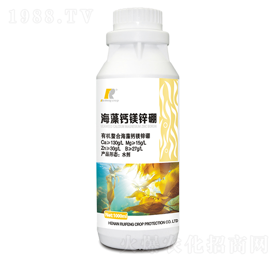 �����}�V�\��-�J�S����