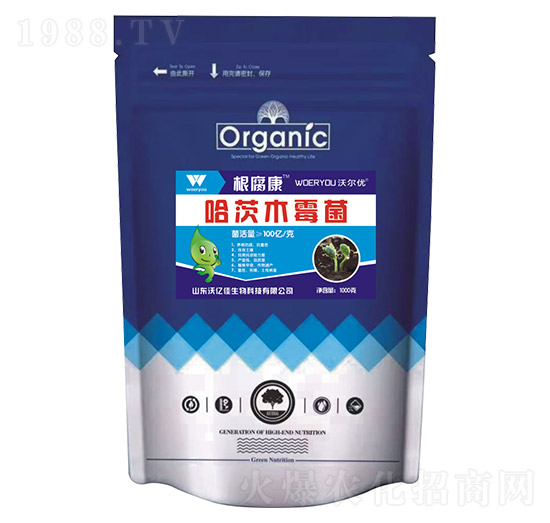 ����ľù��-������-�֠���(y��u)