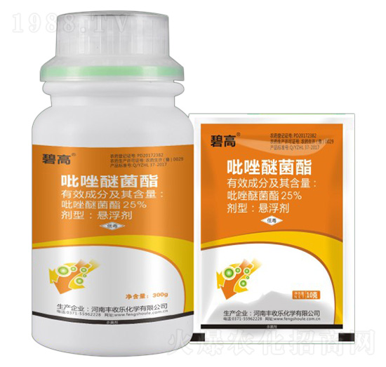 25%�����Ѿ���-�̸�-�S�՘�