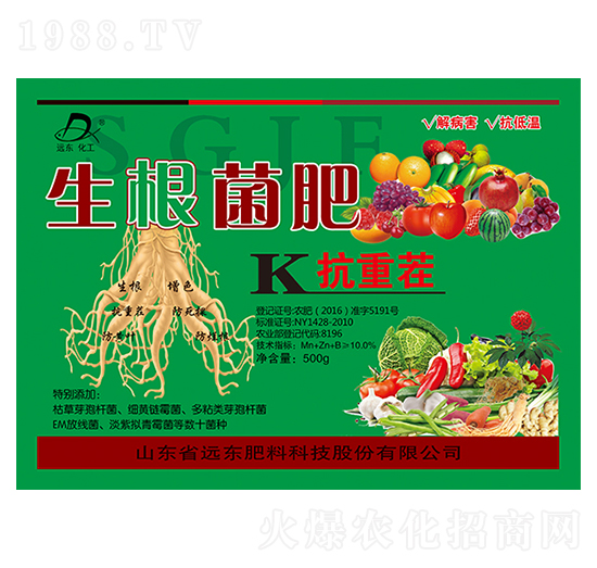 ��������-�h�|����