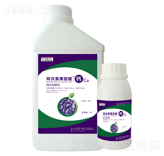 ���������}-����