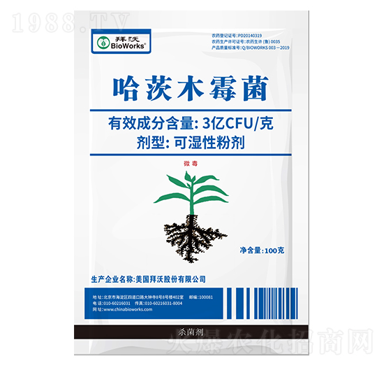 ����ľù���ɝ��Էۄ�������-����