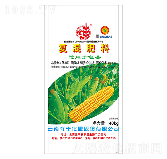 ���Ȍ��Ïͻ����8-12-5-���S