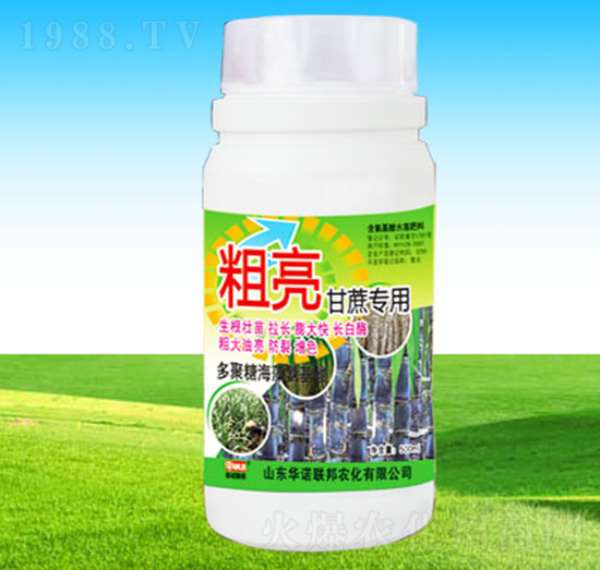 �������ጣ��-�A�Z��