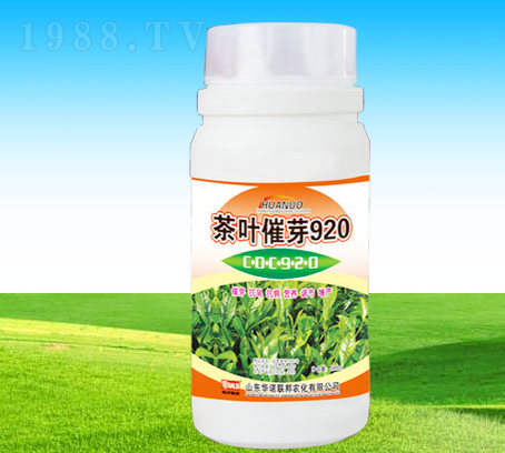 ���~��ѿ920-�A�Z(li��n)��